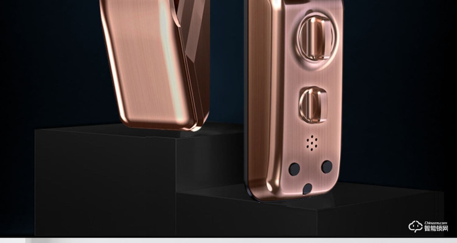 凌振智能鎖 全自動人臉識別智能鎖