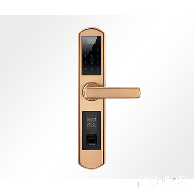 智家人智能指紋鎖 電子門鎖家用 入戶門智能鎖