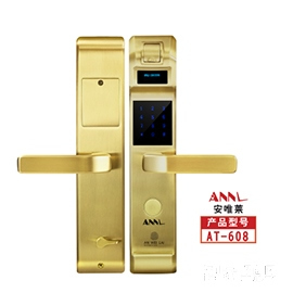 安唯萊智能鎖 全銅智能鎖 防盜門(mén)木門(mén)指紋密碼鎖