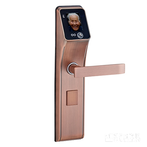 放龍科技智能鎖 人臉識別智能門鎖 家用入戶門防盜門鎖