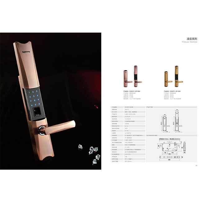 朗榮五金 頂固智能鎖 滑蓋防盜指紋密碼鎖