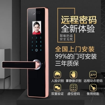 伊派爾人臉識別鎖 掌靜脈識別鎖指紋鎖密碼鎖鑰匙鎖