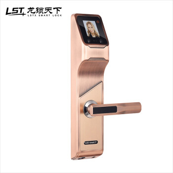 龍鎖天下智能鎖 人臉識別智能鎖 防盜門智能鎖Q7