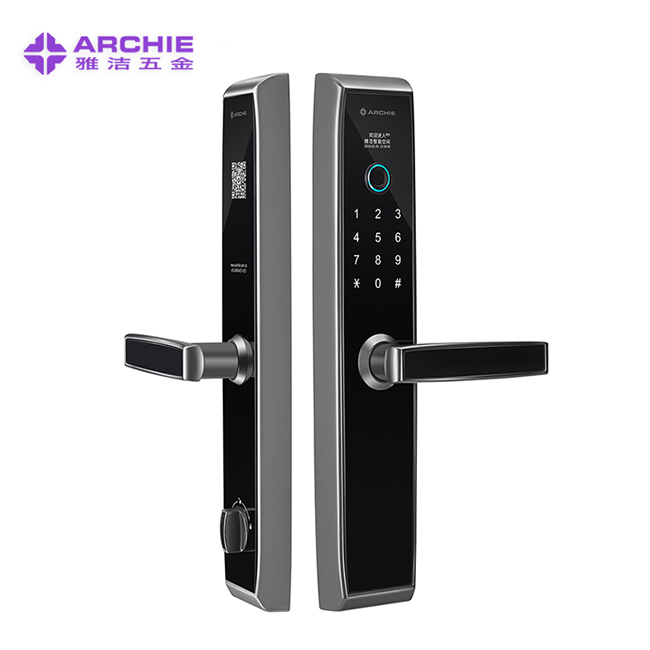 雅潔指紋鎖 AJ2041-02新款阿里智能磁卡密碼鎖