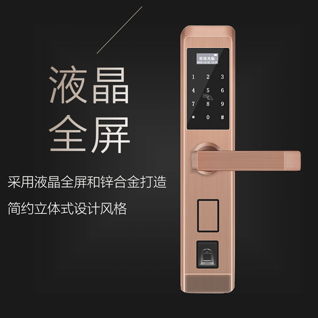 逢科智能指紋鎖 家用防盜遠(yuǎn)程開(kāi)鎖F-3001