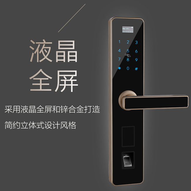 逢科智能指紋鎖  家用防盜遠(yuǎn)程F-3004