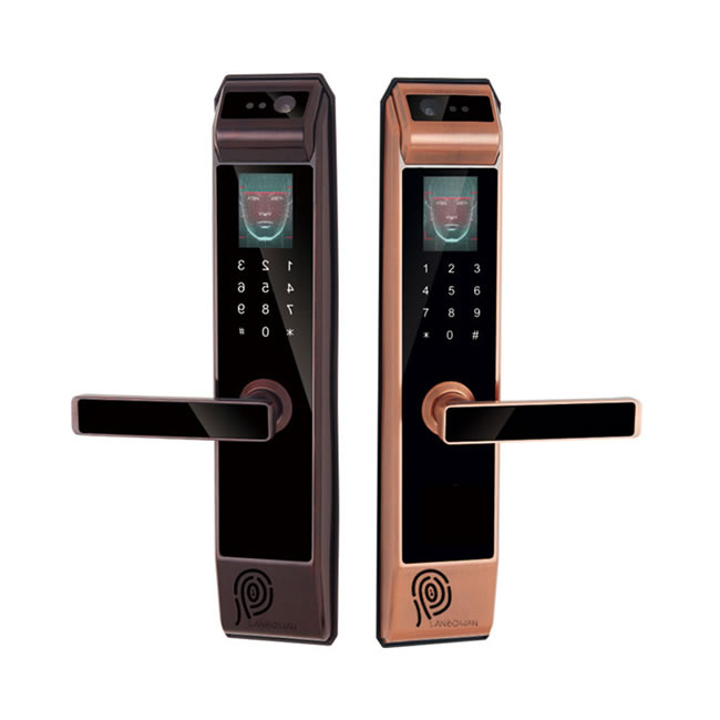 攬搏挽智能鎖 LBW217人臉識(shí)別智能鎖