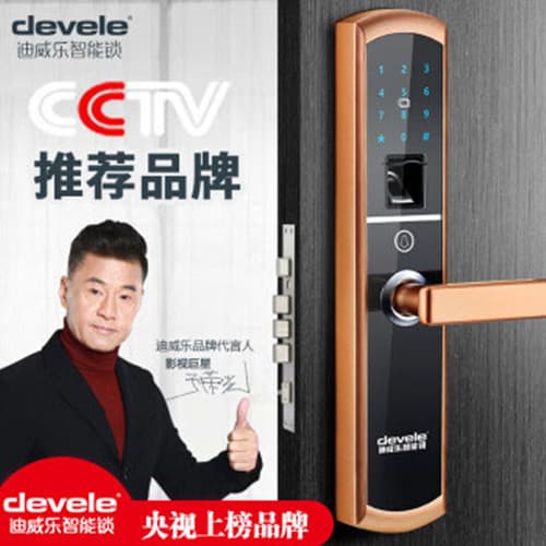 迪威樂智能鎖 指紋密碼鎖電子鎖