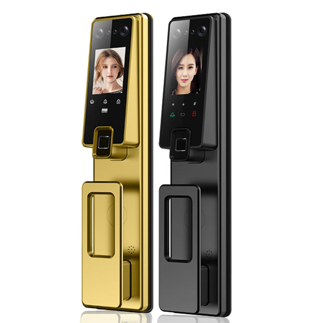 佰德龍智能鎖 Q10全自動(dòng)人臉識(shí)別鎖刷臉鎖掌紋鎖