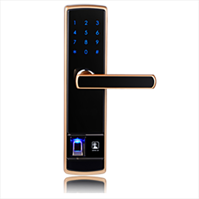 聯合指紋鎖 5155公寓防盜門刷卡鎖