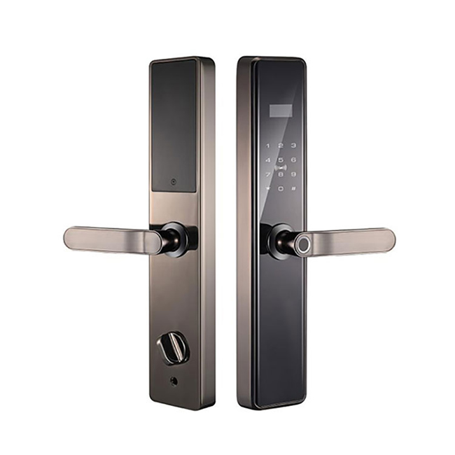 特拉迪智能鎖 TD-20-2家用半自動智能鎖