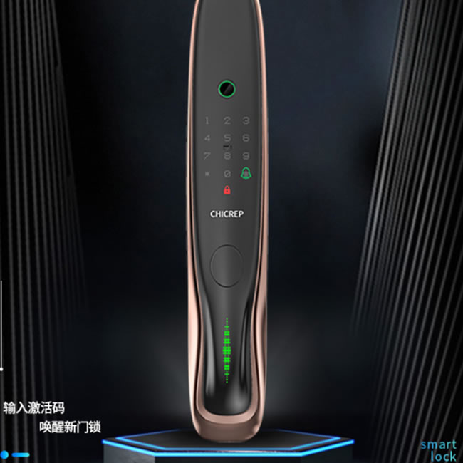 西紅仕V9全自動(dòng)智能鎖 家用智能門鎖防盜電子鎖