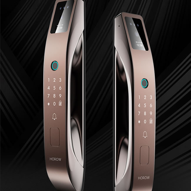 希箭指紋鎖R10真3D人臉識別智能門鎖 家用防盜門電子鎖