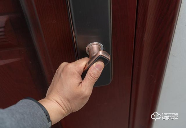 C級鎖芯，6種方式開門，斑點貓W500指紋鎖深度測評