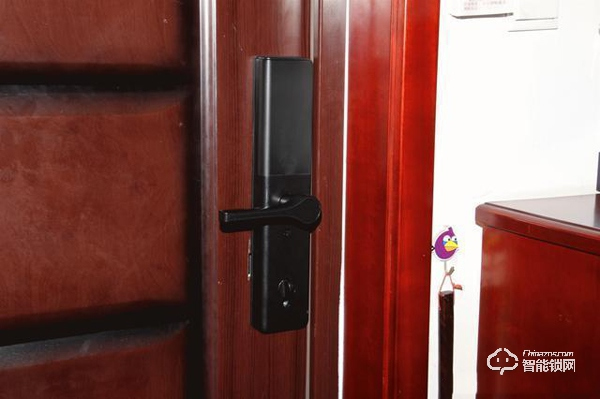 大氣精致+安全可靠+功能豐富+操作便捷=德施曼T91P智能鎖