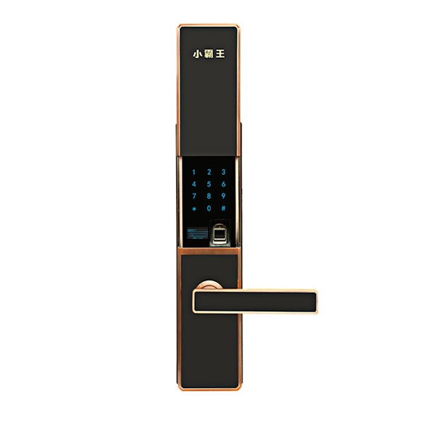 小霸王智能鎖多少錢_選購智能鎖注意事項