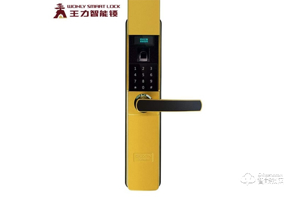 王力防盜門(mén)智能鎖的四大優(yōu)勢(shì)