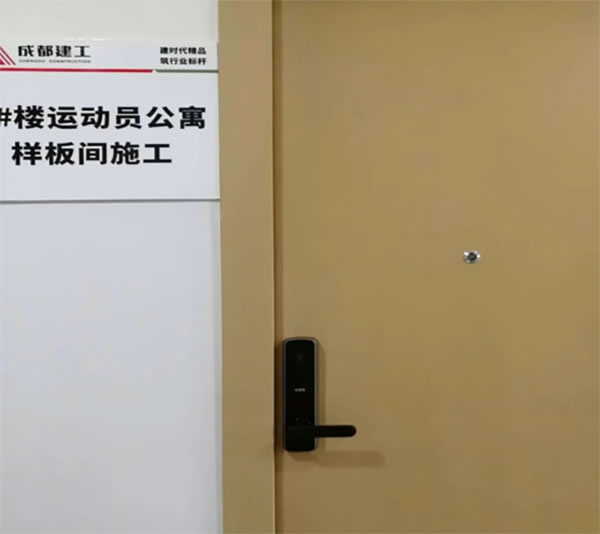 房地產智能鎖實力品牌楊格:國際精品智能門鎖工程彰顯實力! 房地產智能鎖實力品牌楊格:國際精品智能門鎖工程彰顯實力!