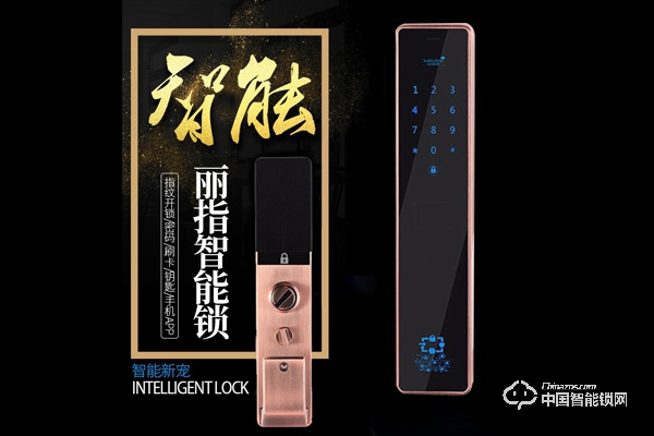 麗指指紋鎖怎么樣 麗指指紋鎖價格如何