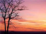 云米智能家居：專注于智能家電研發(fā)、制造