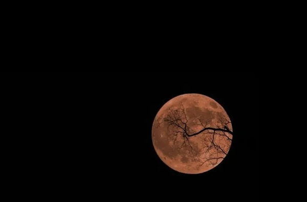 鹿客智能鎖classic2XYeelight 皎月LED吸頂燈 讓您開門見圓滿