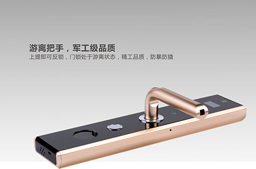 【手機門鎖】古人防盜靠狗，現在靠“德犬”