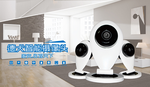 防賊防盜防老王，家庭安全靠德犬