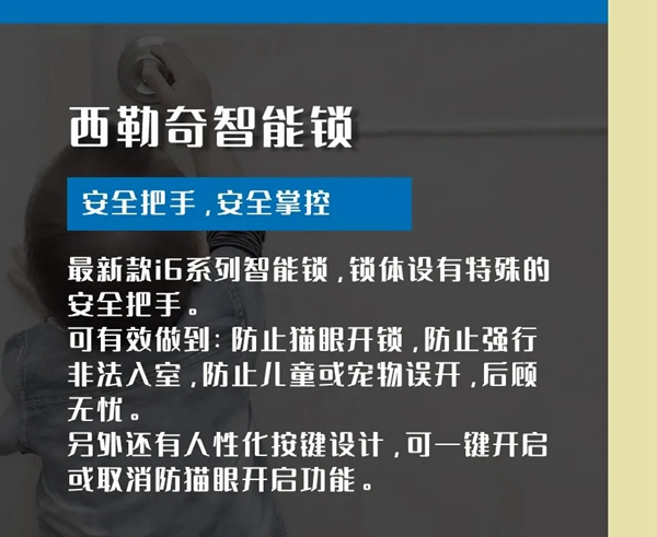 2021牛轉乾坤，從一把西勒奇智能鎖開始