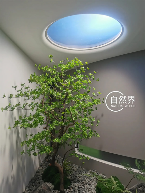 自然界太陽燈：點亮你的廚房與衛(wèi)生間，模擬日升日落的奇妙之旅