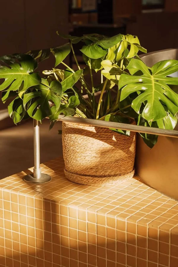 控客全屋智能案例分享｜以智慧燈光點燃CBD餐廳溫情_5