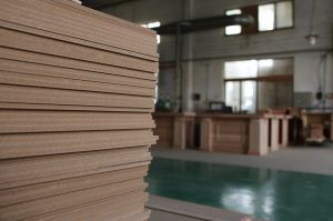 2017山東木材流通協會