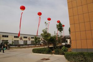 2017山東木材流通協會