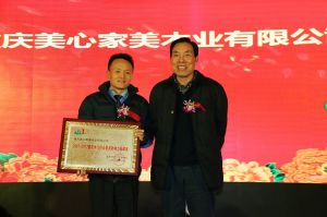 2017重慶木門協(xié)會十周年